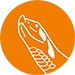 Reptifit